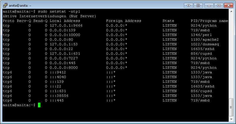 linux list processes using ports